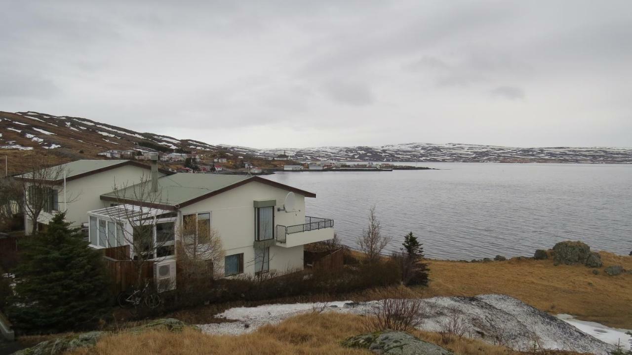 Beautiful House Just 50 M From The Sea Lägenhet Holmavik Exteriör bild